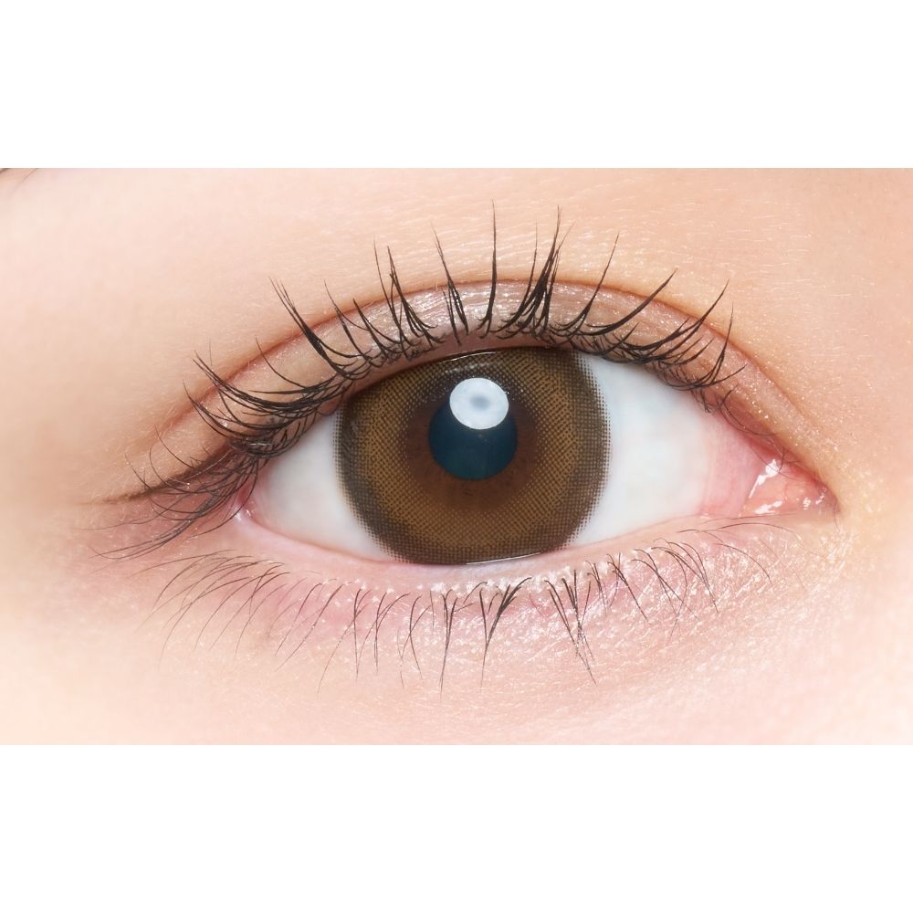 Secret bear（乱視用）